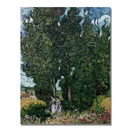 Vincent Van Gogh 'The Cypresses' Canvas Art,18x24